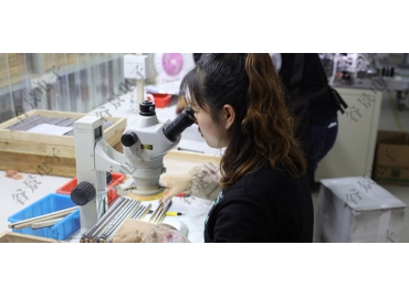 功率電感和共模電感的區別